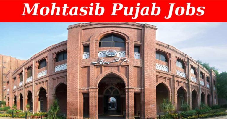 Ombudsperson (Mohtasib) Punjab Recruitment ( July 2024) : Open Jobs/Online application