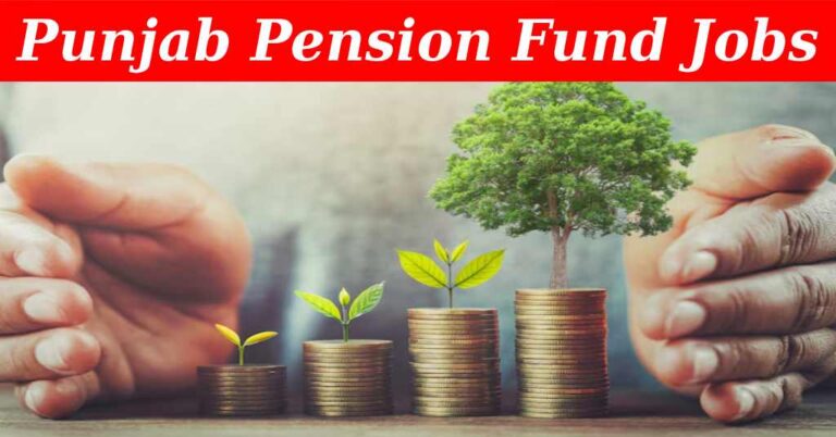 Punjab Pension Fund Recruitment ( August 2024) : Open Jobs/Apply Online @www.ppf.gop.pk