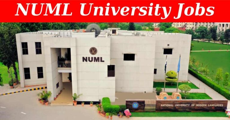 NUML recruitment ( August 2024) : Open Jobs/ Online Application