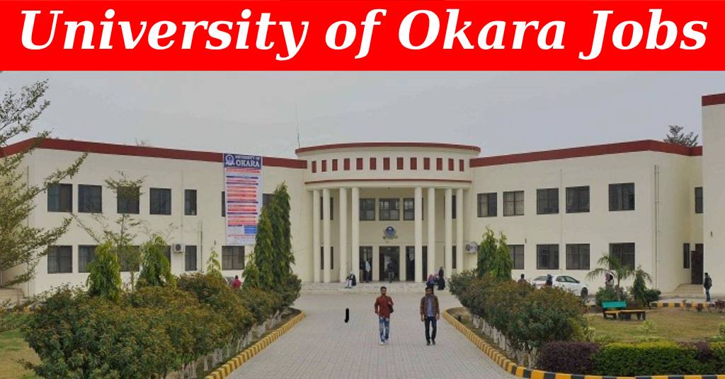 University of Okara (August 2024) : Open jobs/Online application